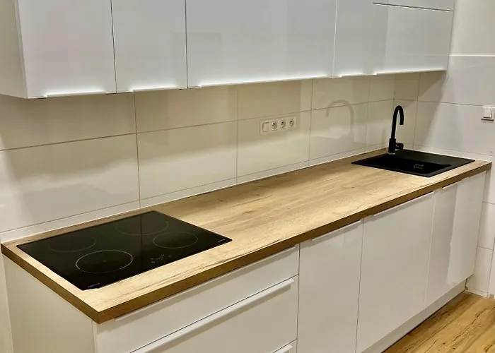 Apartman Susilova 14 Ii